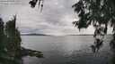 ./images/koeye/fitz-hugh/20260608/fitz-hugh20260608_171002M.jpg