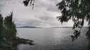 ./images/koeye/fitz-hugh/20260608/fitz-hugh20260608_171501M.jpg