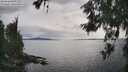 ./images/koeye/fitz-hugh/20260608/fitz-hugh20260608_172001M.jpg