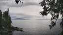 ./images/koeye/fitz-hugh/20260608/fitz-hugh20260608_172501M.jpg