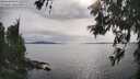 ./images/koeye/fitz-hugh/20260608/fitz-hugh20260608_173001M.jpg