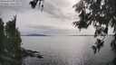 ./images/koeye/fitz-hugh/20260608/fitz-hugh20260608_173501M.jpg