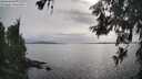 ./images/koeye/fitz-hugh/20260608/fitz-hugh20260608_175001M.jpg