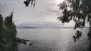 ./images/koeye/fitz-hugh/20260608/fitz-hugh20260608_175501M.jpg