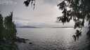 ./images/koeye/fitz-hugh/20260608/fitz-hugh20260608_182002M.jpg