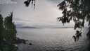 ./images/koeye/fitz-hugh/20260608/fitz-hugh20260608_182501M.jpg