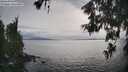 ./images/koeye/fitz-hugh/20260608/fitz-hugh20260608_183001M.jpg