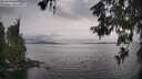 ./images/koeye/fitz-hugh/20260608/fitz-hugh20260608_184001M.jpg