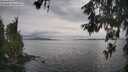 ./images/koeye/fitz-hugh/20260608/fitz-hugh20260608_184501M.jpg