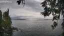 ./images/koeye/fitz-hugh/20260608/fitz-hugh20260608_185001M.jpg