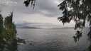 ./images/koeye/fitz-hugh/20260608/fitz-hugh20260608_185501M.jpg