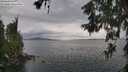 ./images/koeye/fitz-hugh/20260608/fitz-hugh20260608_190501M.jpg