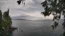 ./images/koeye/fitz-hugh/20260608/fitz-hugh20260608_191001M.jpg