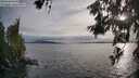 ./images/koeye/fitz-hugh/20260608/fitz-hugh20260608_194001M.jpg