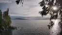 ./images/koeye/fitz-hugh/20260608/fitz-hugh20260608_194501M.jpg