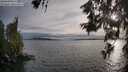 ./images/koeye/fitz-hugh/20260608/fitz-hugh20260608_195002M.jpg