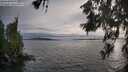 ./images/koeye/fitz-hugh/20260608/fitz-hugh20260608_195501M.jpg