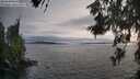 ./images/koeye/fitz-hugh/20260608/fitz-hugh20260608_200001M.jpg