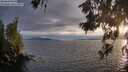 ./images/koeye/fitz-hugh/20260608/fitz-hugh20260608_204001M.jpg