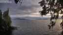 ./images/koeye/fitz-hugh/20260608/fitz-hugh20260608_204501M.jpg