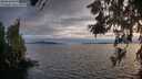 ./images/koeye/fitz-hugh/20260608/fitz-hugh20260608_205001M.jpg