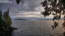 ./images/koeye/fitz-hugh/20260608/fitz-hugh20260608_205501M.jpg