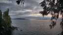 ./images/koeye/fitz-hugh/20260608/fitz-hugh20260608_214501M.jpg