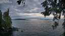 ./images/koeye/fitz-hugh/20260608/fitz-hugh20260608_215501M.jpg