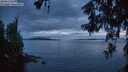 ./images/koeye/fitz-hugh/20260608/fitz-hugh20260608_222501M.jpg