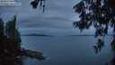 ./images/koeye/fitz-hugh/20260609/fitz-hugh20260609_044501M.jpg