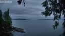 ./images/koeye/fitz-hugh/20260609/fitz-hugh20260609_045002M.jpg