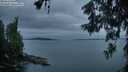 ./images/koeye/fitz-hugh/20260609/fitz-hugh20260609_045501M.jpg