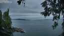 ./images/koeye/fitz-hugh/20260609/fitz-hugh20260609_051501M.jpg