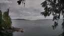 ./images/koeye/fitz-hugh/20260609/fitz-hugh20260609_060501M.jpg