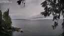 ./images/koeye/fitz-hugh/20260609/fitz-hugh20260609_063002M.jpg