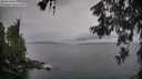 ./images/koeye/fitz-hugh/20260609/fitz-hugh20260609_063501M.jpg