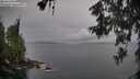 ./images/koeye/fitz-hugh/20260609/fitz-hugh20260609_064501M.jpg