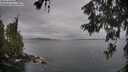 ./images/koeye/fitz-hugh/20260609/fitz-hugh20260609_074001M.jpg