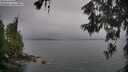 ./images/koeye/fitz-hugh/20260609/fitz-hugh20260609_082001M.jpg