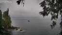 ./images/koeye/fitz-hugh/20260609/fitz-hugh20260609_084501M.jpg