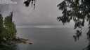 ./images/koeye/fitz-hugh/20260609/fitz-hugh20260609_085501M.jpg