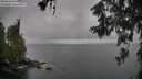 ./images/koeye/fitz-hugh/20260609/fitz-hugh20260609_090501M.jpg