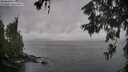 ./images/koeye/fitz-hugh/20260609/fitz-hugh20260609_091501M.jpg