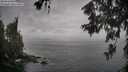 ./images/koeye/fitz-hugh/20260609/fitz-hugh20260609_092001M.jpg