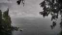 ./images/koeye/fitz-hugh/20260609/fitz-hugh20260609_092501M.jpg
