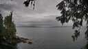./images/koeye/fitz-hugh/20260609/fitz-hugh20260609_093501M.jpg
