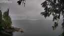 ./images/koeye/fitz-hugh/20260609/fitz-hugh20260609_100002M.jpg