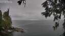 ./images/koeye/fitz-hugh/20260609/fitz-hugh20260609_100501M.jpg