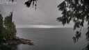 ./images/koeye/fitz-hugh/20260609/fitz-hugh20260609_102001M.jpg