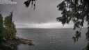 ./images/koeye/fitz-hugh/20260609/fitz-hugh20260609_102501M.jpg